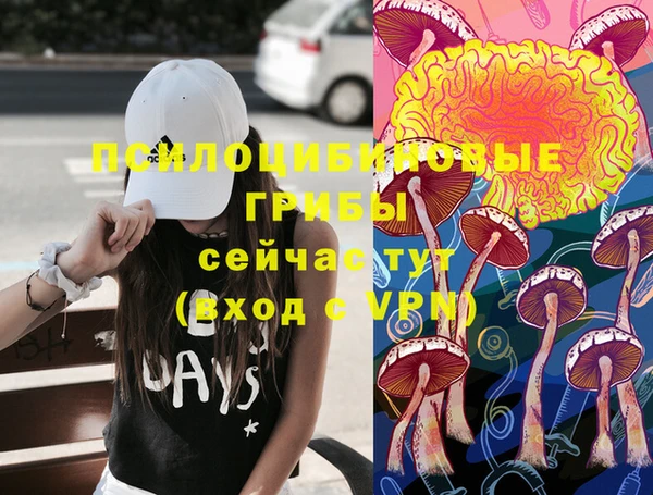 2c-b Верхний Тагил