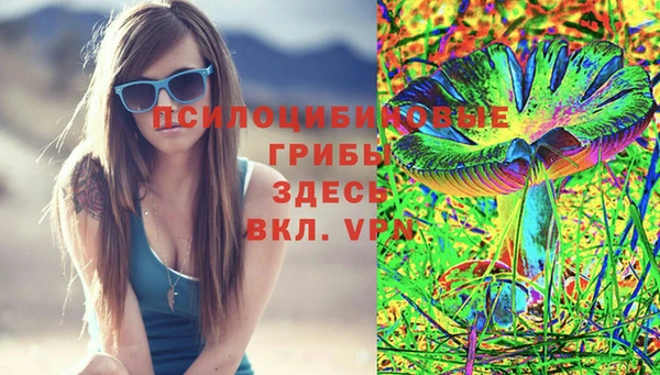 гидра Сафоново