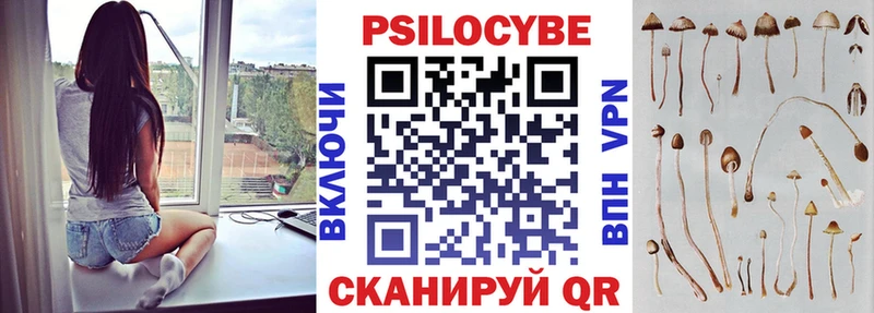 Купить где  Сертолово  Псилоцибиновые грибы мухоморы 